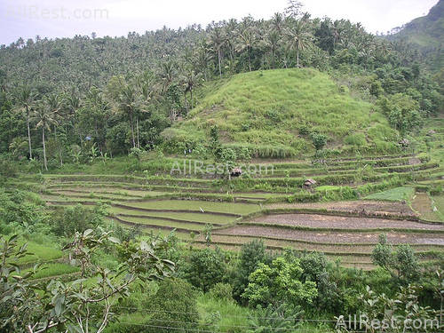 ALiLa Manggis boutique 15